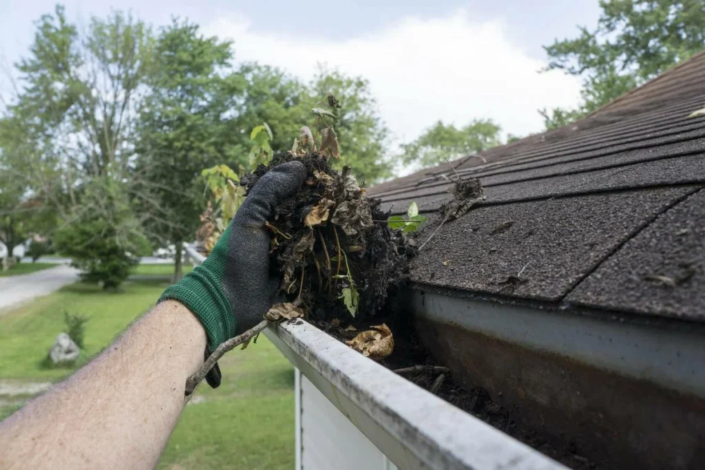 Gutters and leaders cleaning