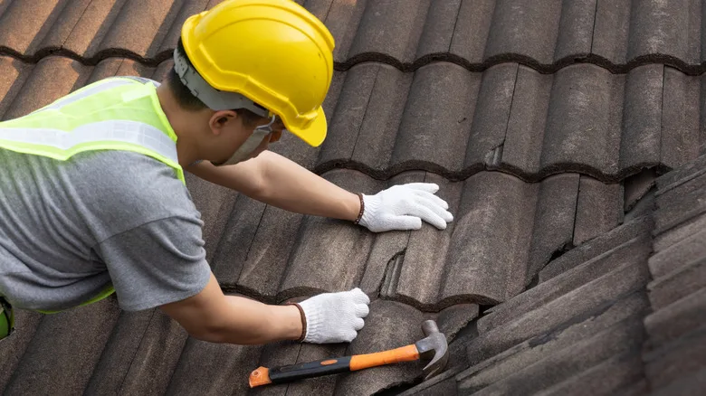 Roof Maintenance Repair Bronx