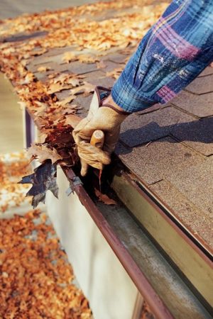 Gutter and leaders Expert